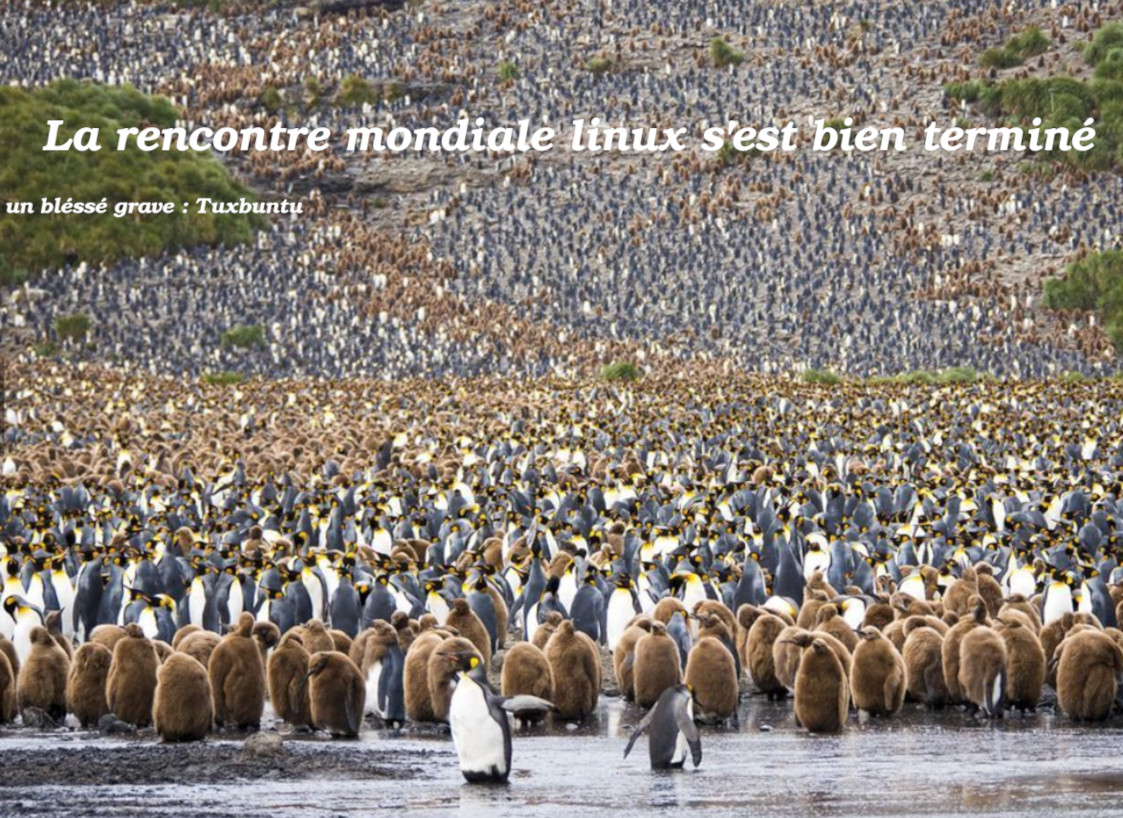 file-R2b3df77492973535c843abe1c98fb826