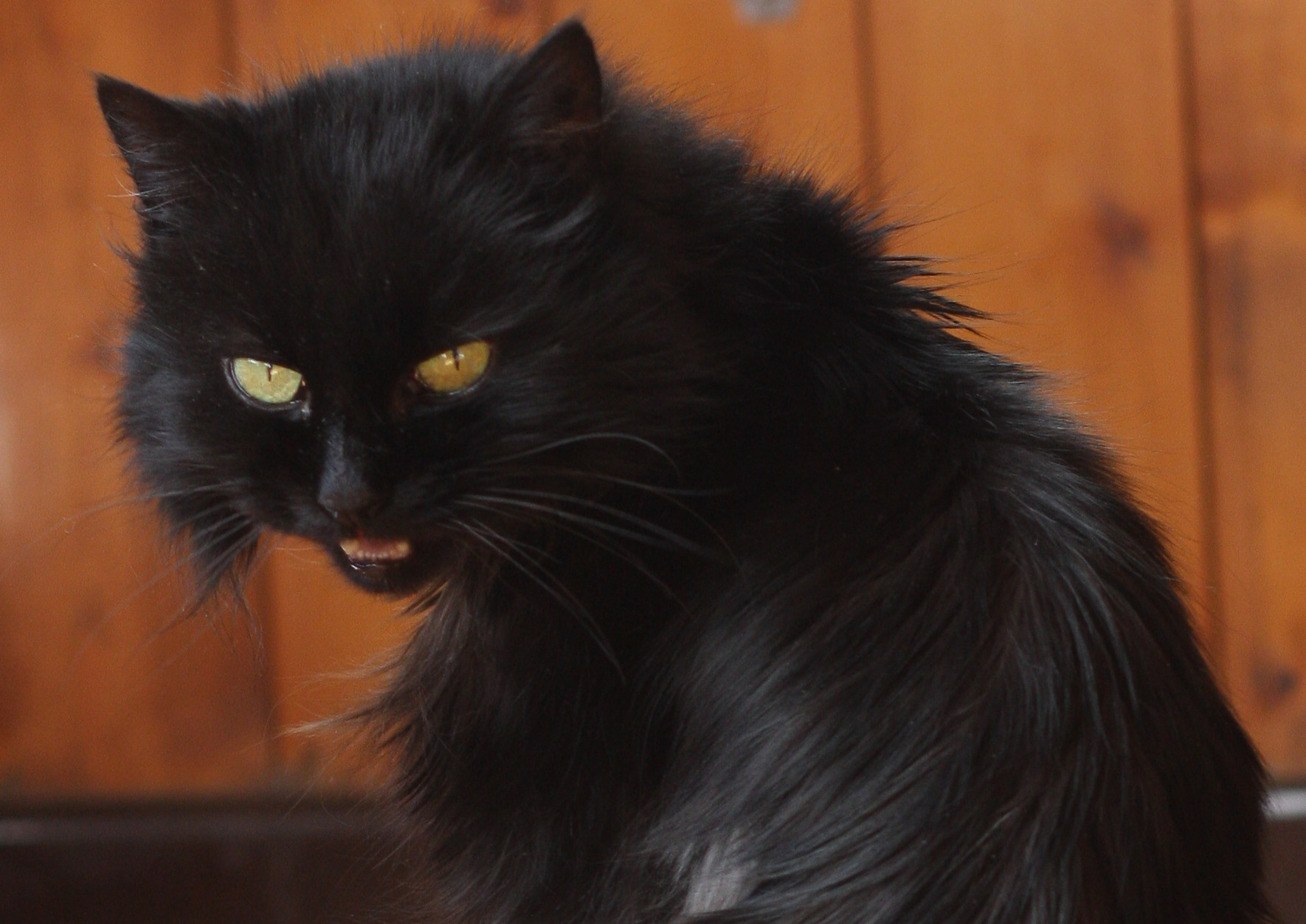 file-Rabc3ef54289e6b256fee584390072884